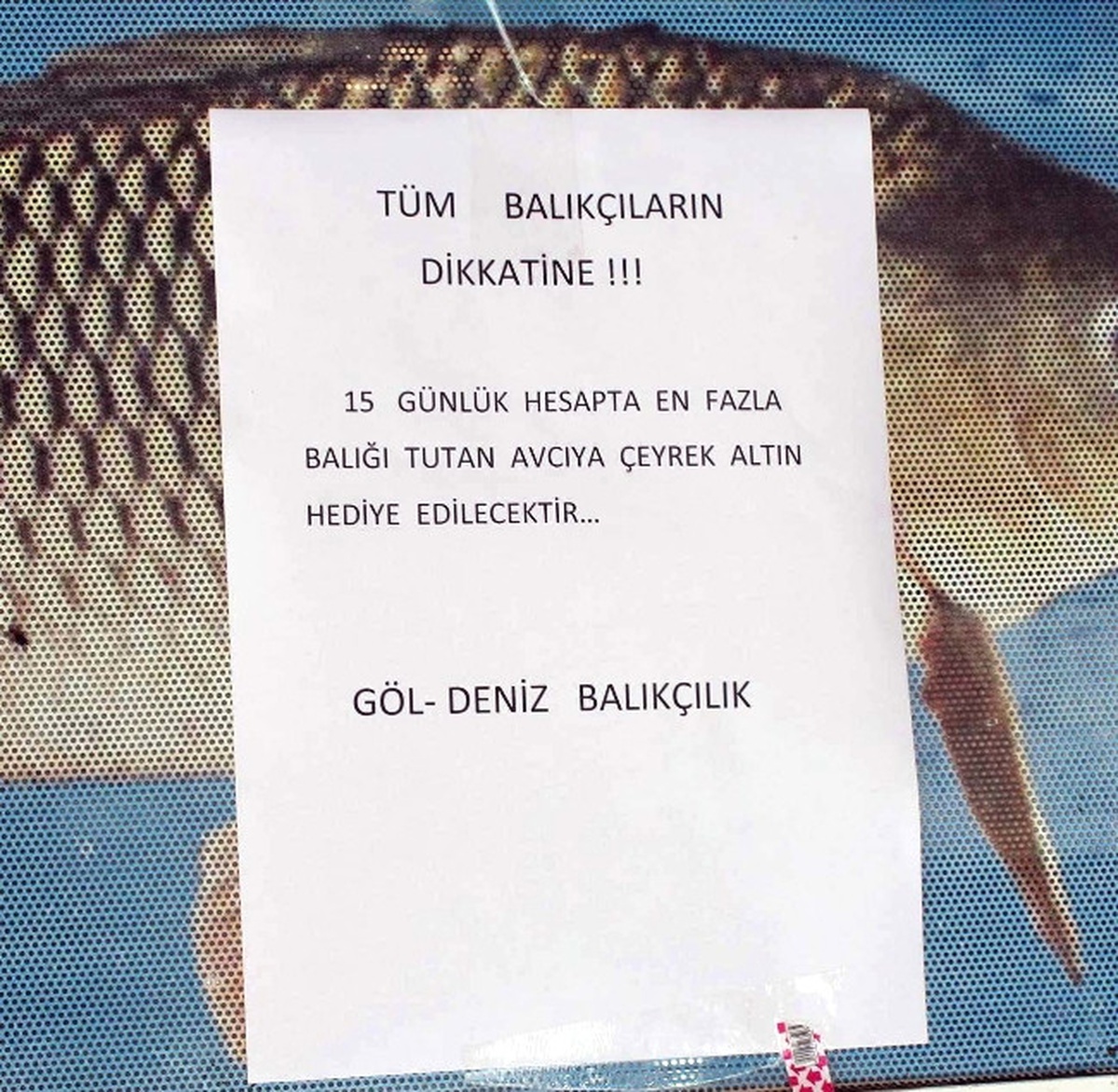 En Fazla Balığa Altın Ödülü