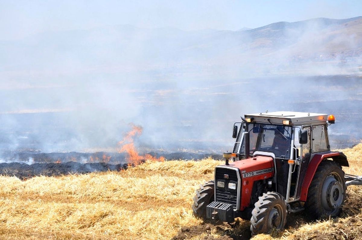 Buğday ve Arpa Ekili Tarlalarda Yangın