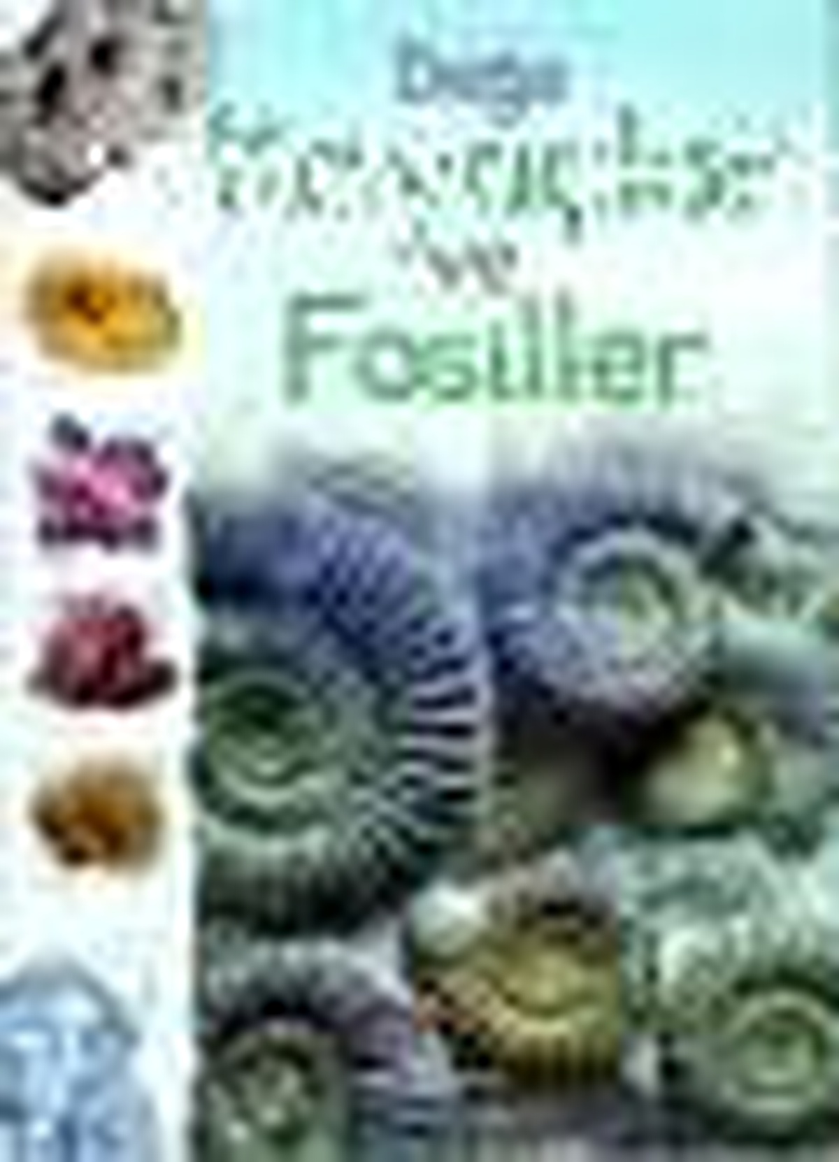 Doğa: Kayaçlar ve Fosiller (Ciltli) Kitabı