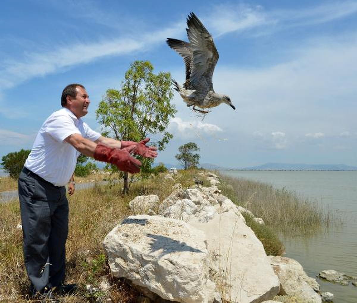 Özgürlüğe Uçtular