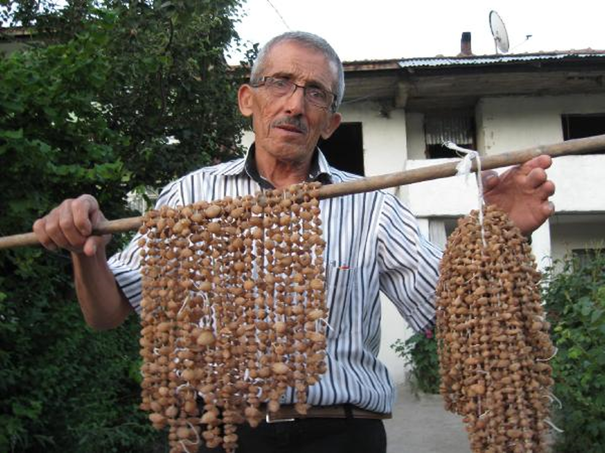 Ormandan Salep Toplayıp Satıyor