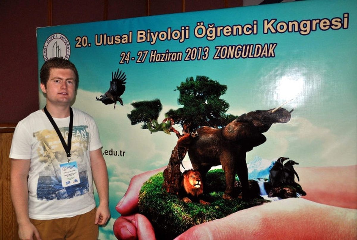 Deniz Kaplumbağaları Deniz Kirliliğinden Ölüyor