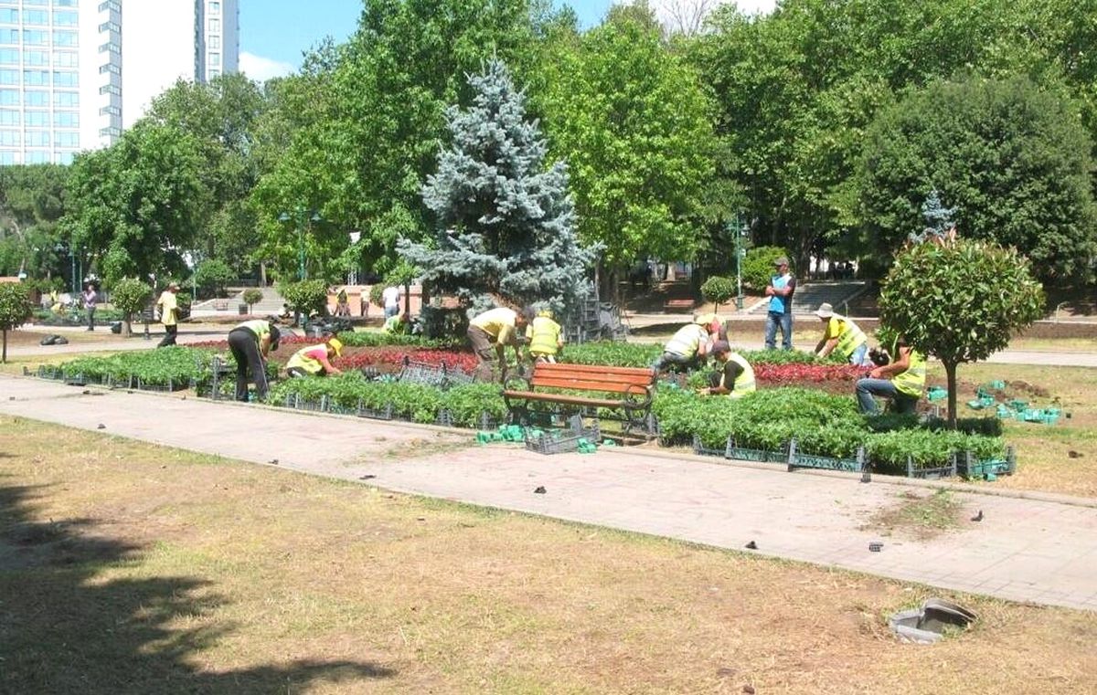 İBB: Gezi Parkı\'na Ağaç ve Çiçek Dikimi Tamamlandı
