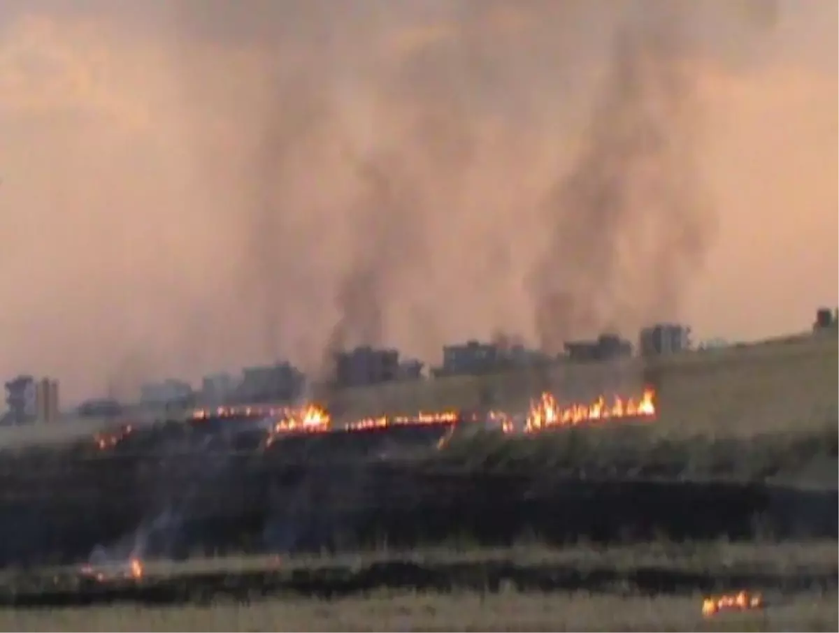 Nusaybin\'de Anız Yangını