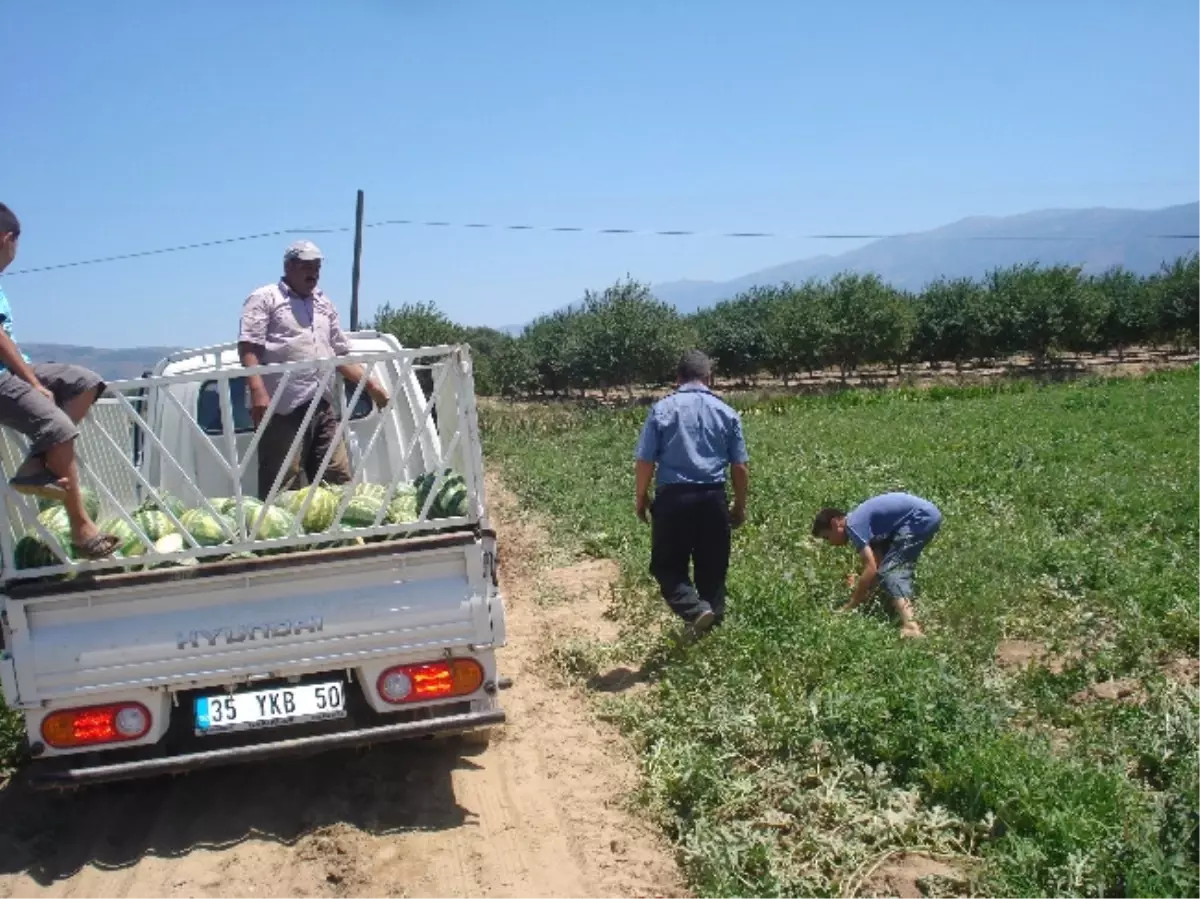 Ödemiş\'in Karpuzu Tezgahlarda Yerini Aldı