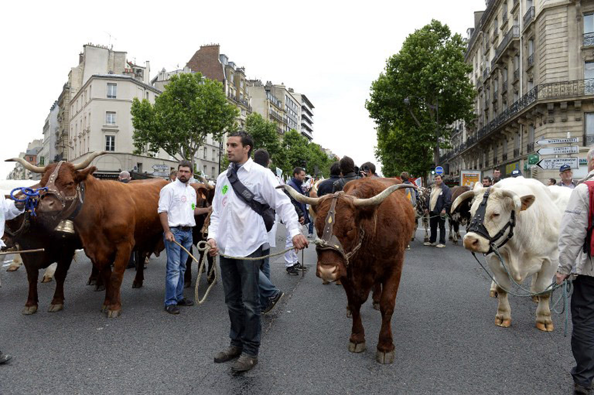Paris\'te Hükümeti Protesto Ettiler