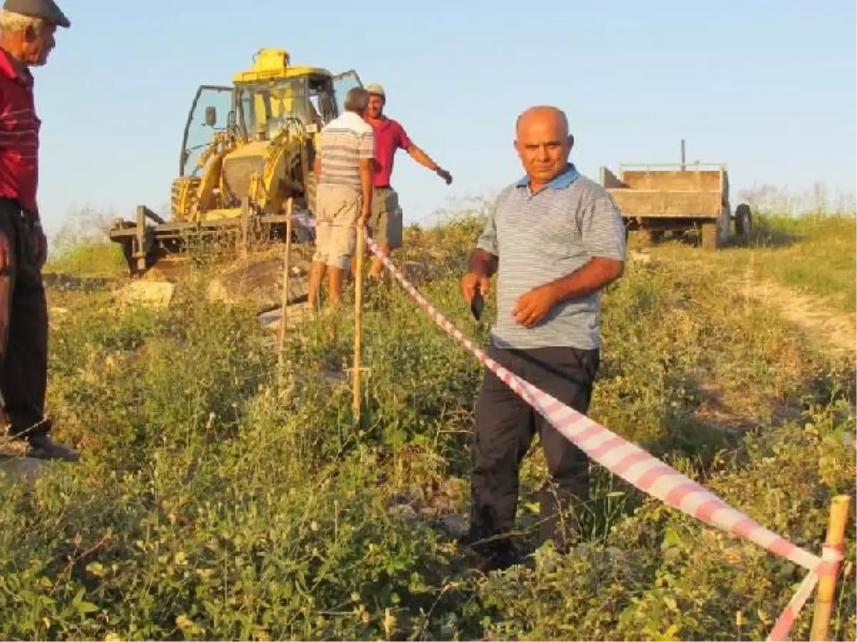 Tarlada Aydın Gaşağı Sürprizi