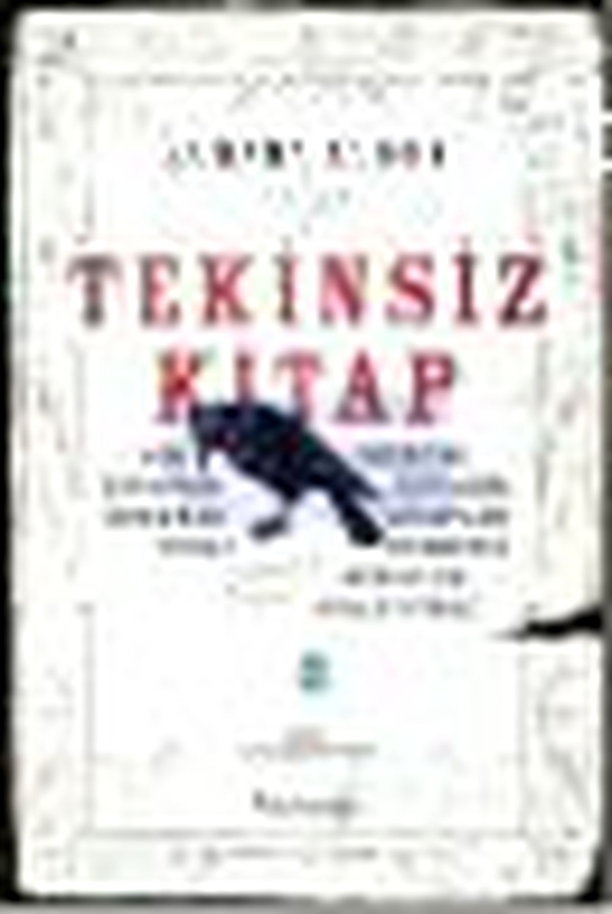 Tekinsiz Kitap Kitabı