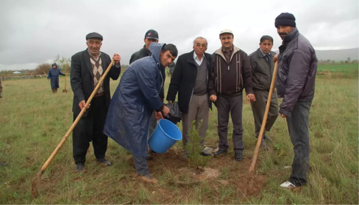 Afşin\'de Ağaçlandırma Çalışmaları