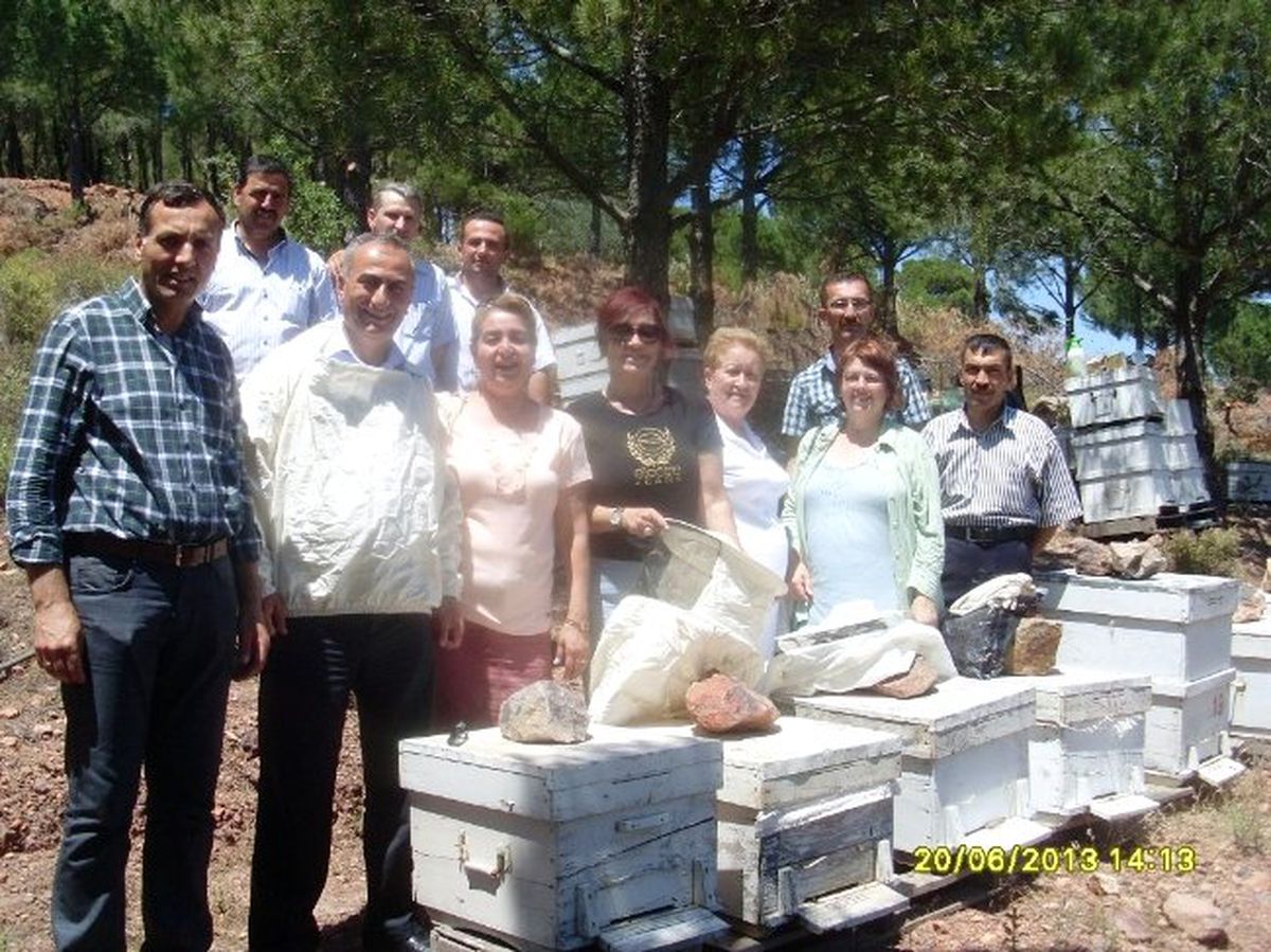Ayvalık\'ta Uygulamalı Arıcılık Kursu Sona Erdi