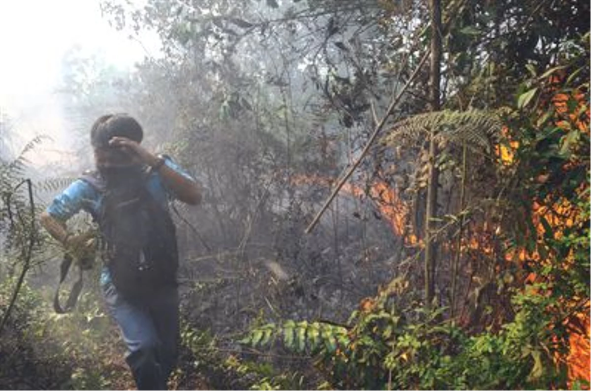 Endonezya\'daki Orman Yangınları
