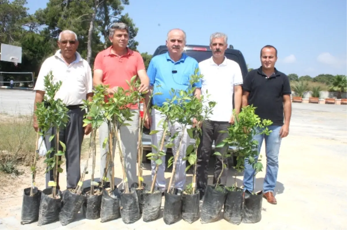 Otelcilik ve Turizm Lisesi\'ne Ziraat Odası\'ndan Fidan Desteği