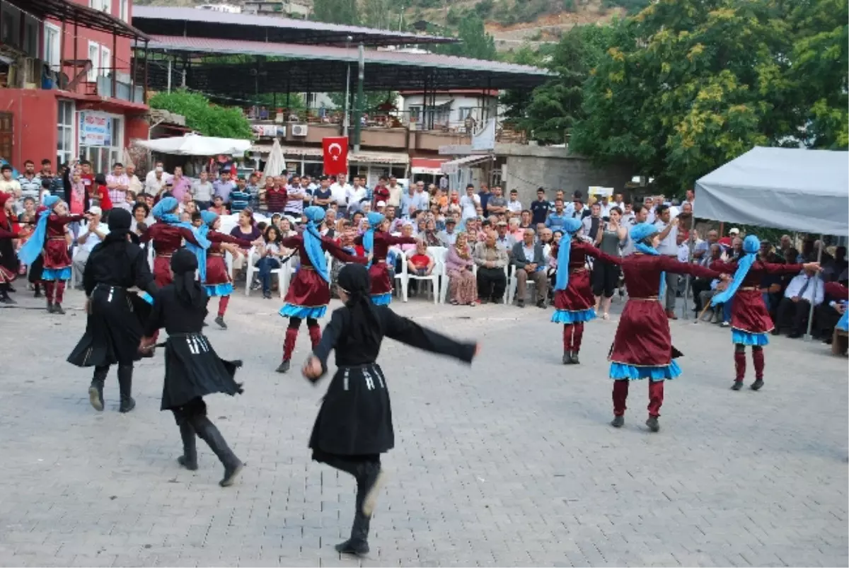 Saimbeyli'de Kiraz Festivali