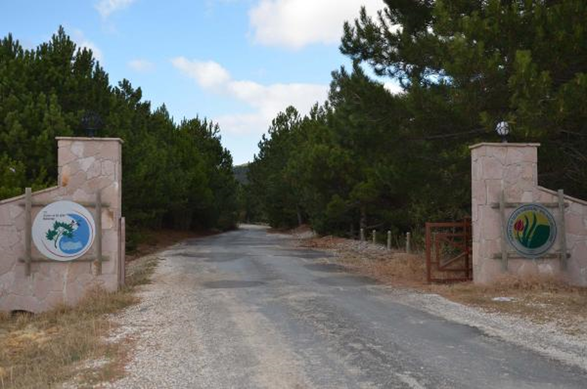 Spil Milli Parkı Halka Açılıyor