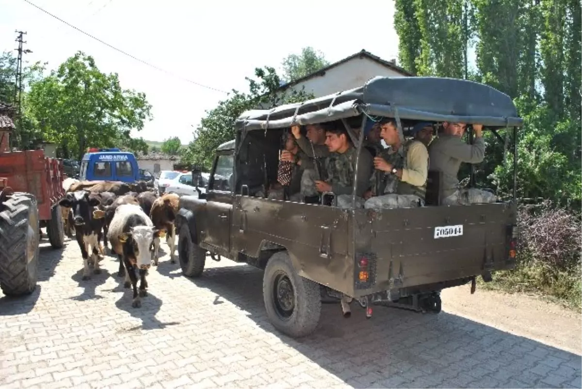 Tarlaya Giren İnekler Yüzünden Kavga: 2 Ölü, 1 Yaralı