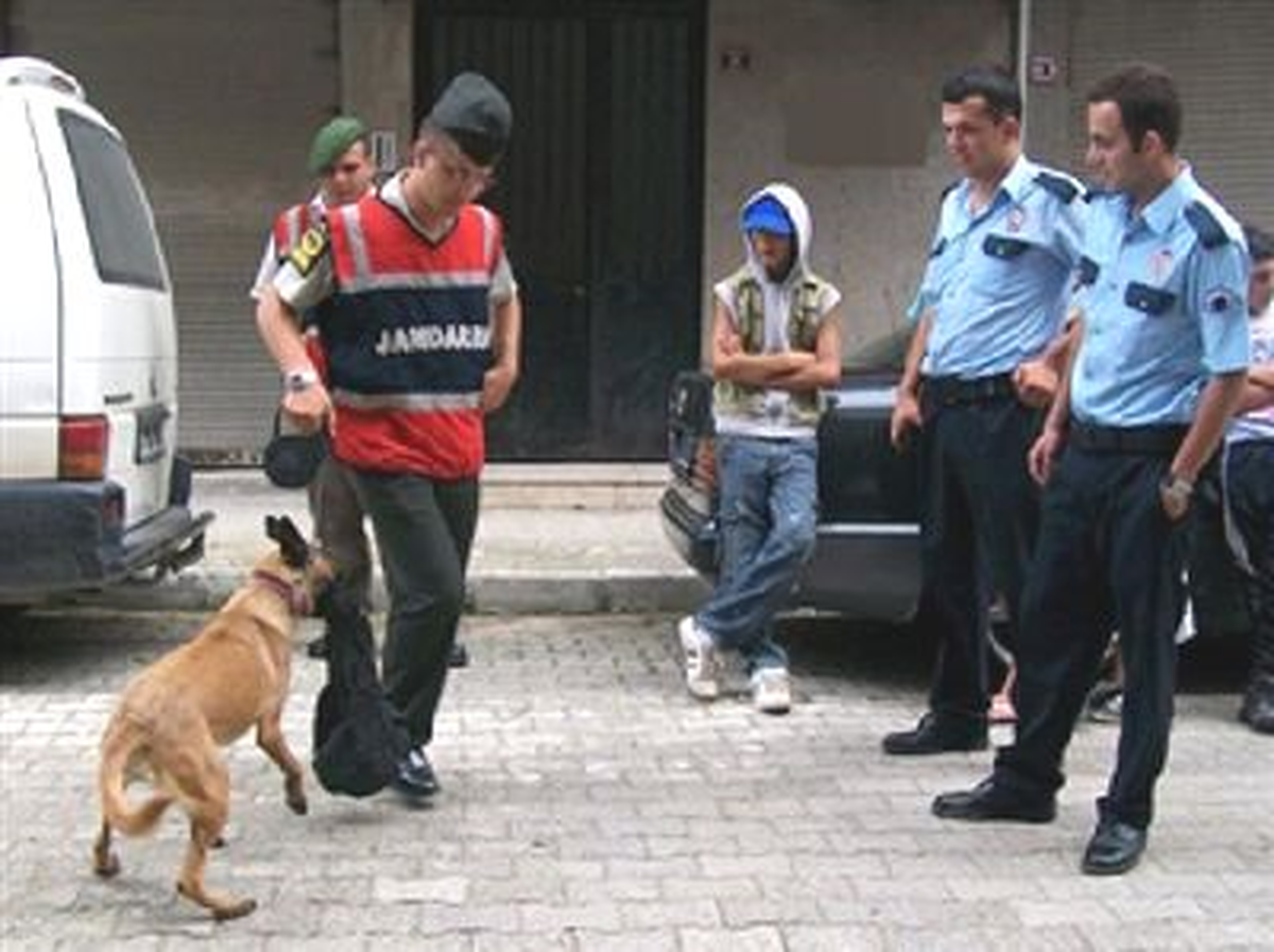 Uyuşturucu Uzmanı Köpek 5. Kattan Düşerek Telef Oldu
