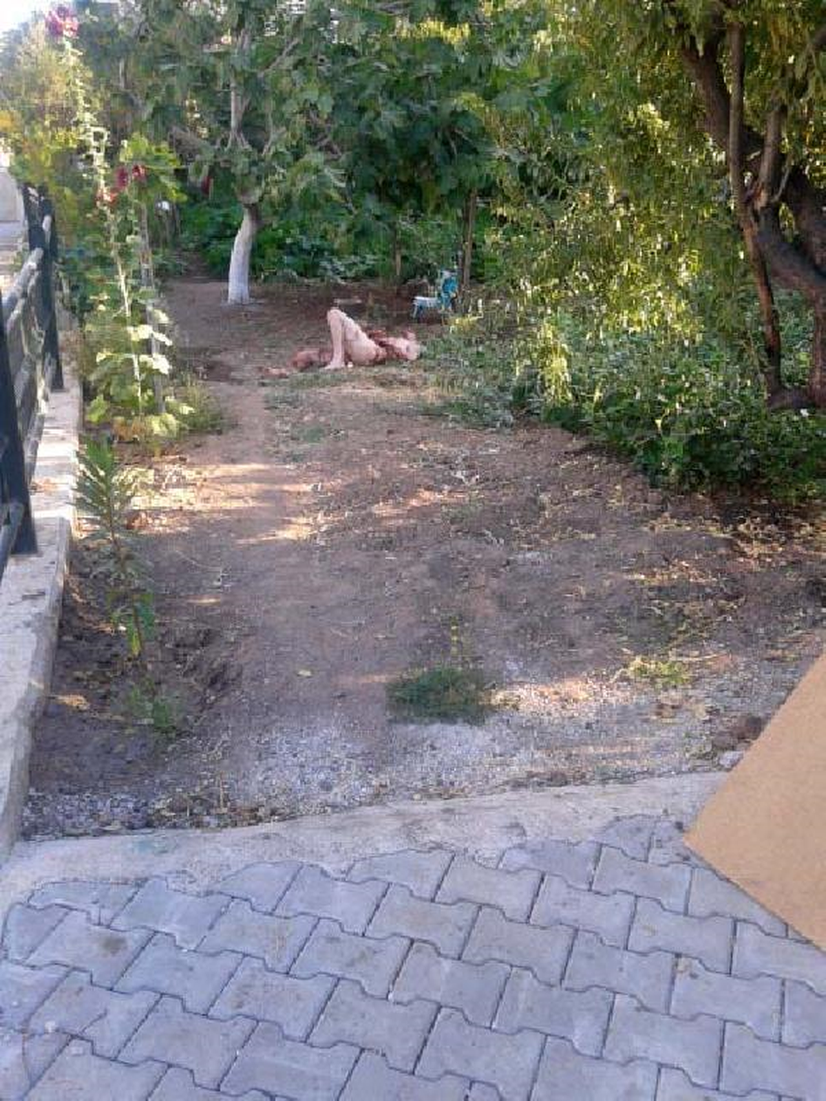 Marmaris\'te Kan Donduran Görüntü