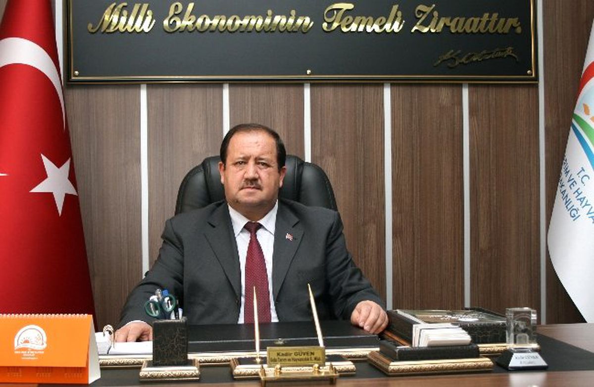 Alan Bazlı Fındık Destekleme Ödemeleri