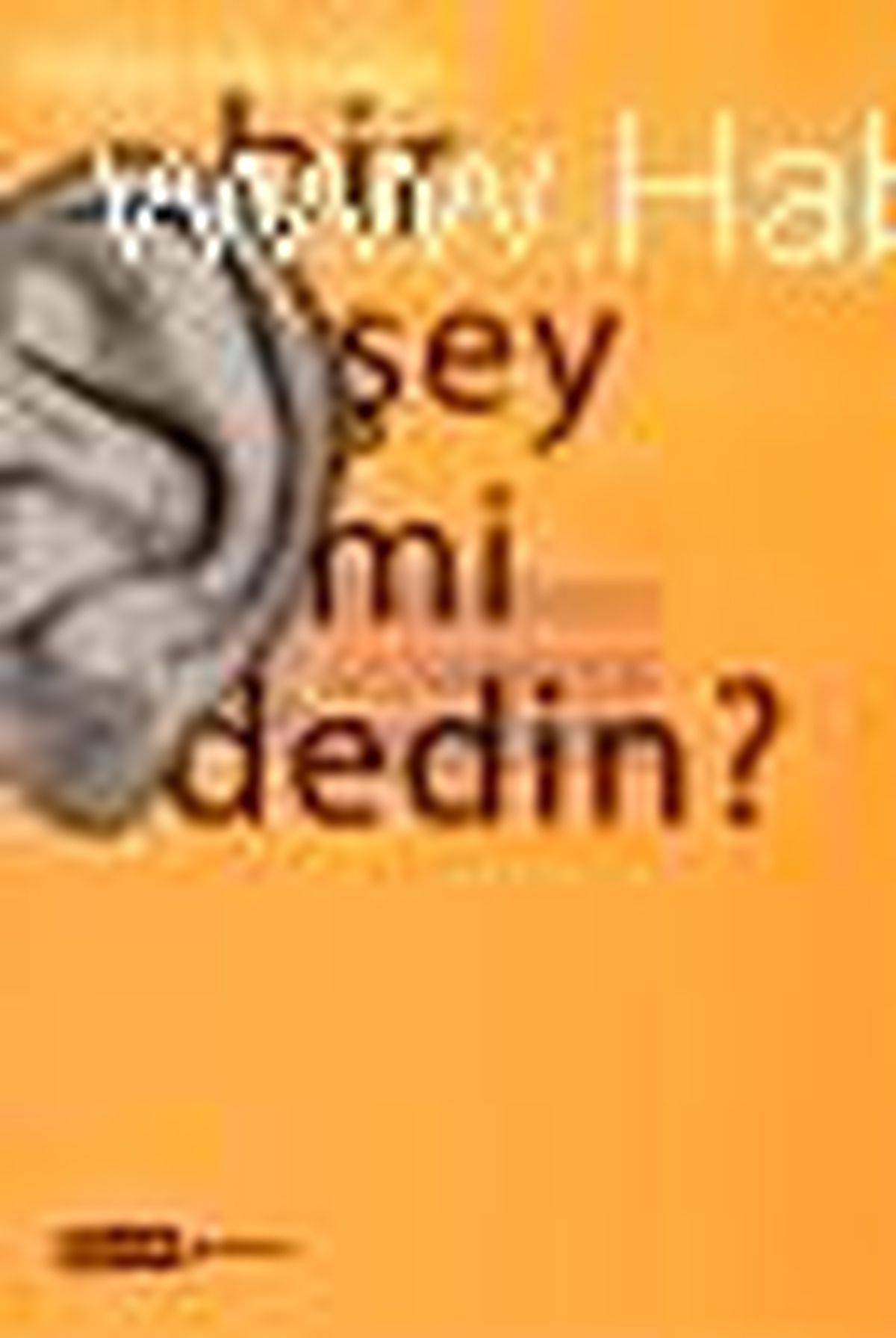 Bir Şey mi Dedin? Kitabı