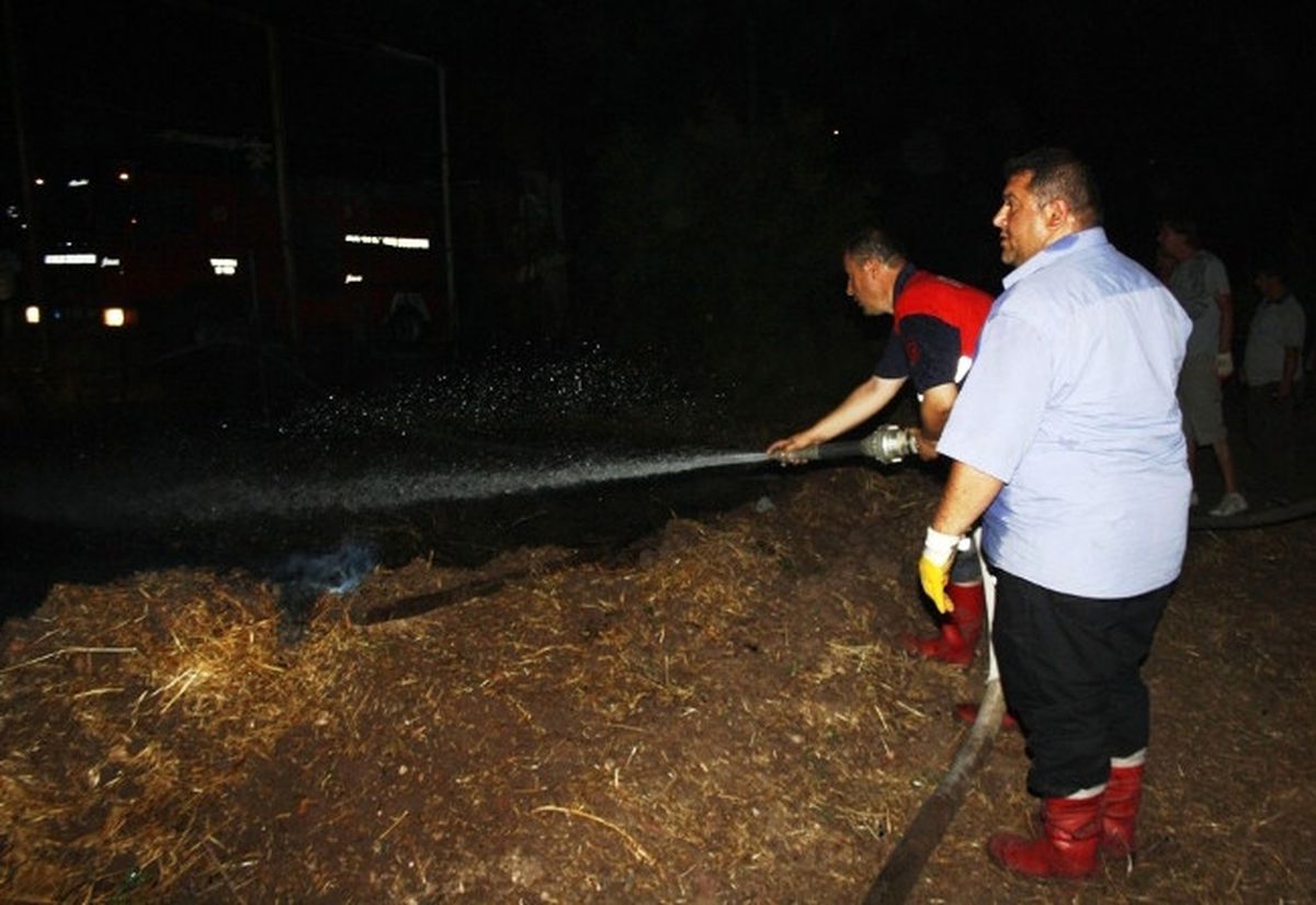 Cunda Adası\'nda Korkutan Yangın