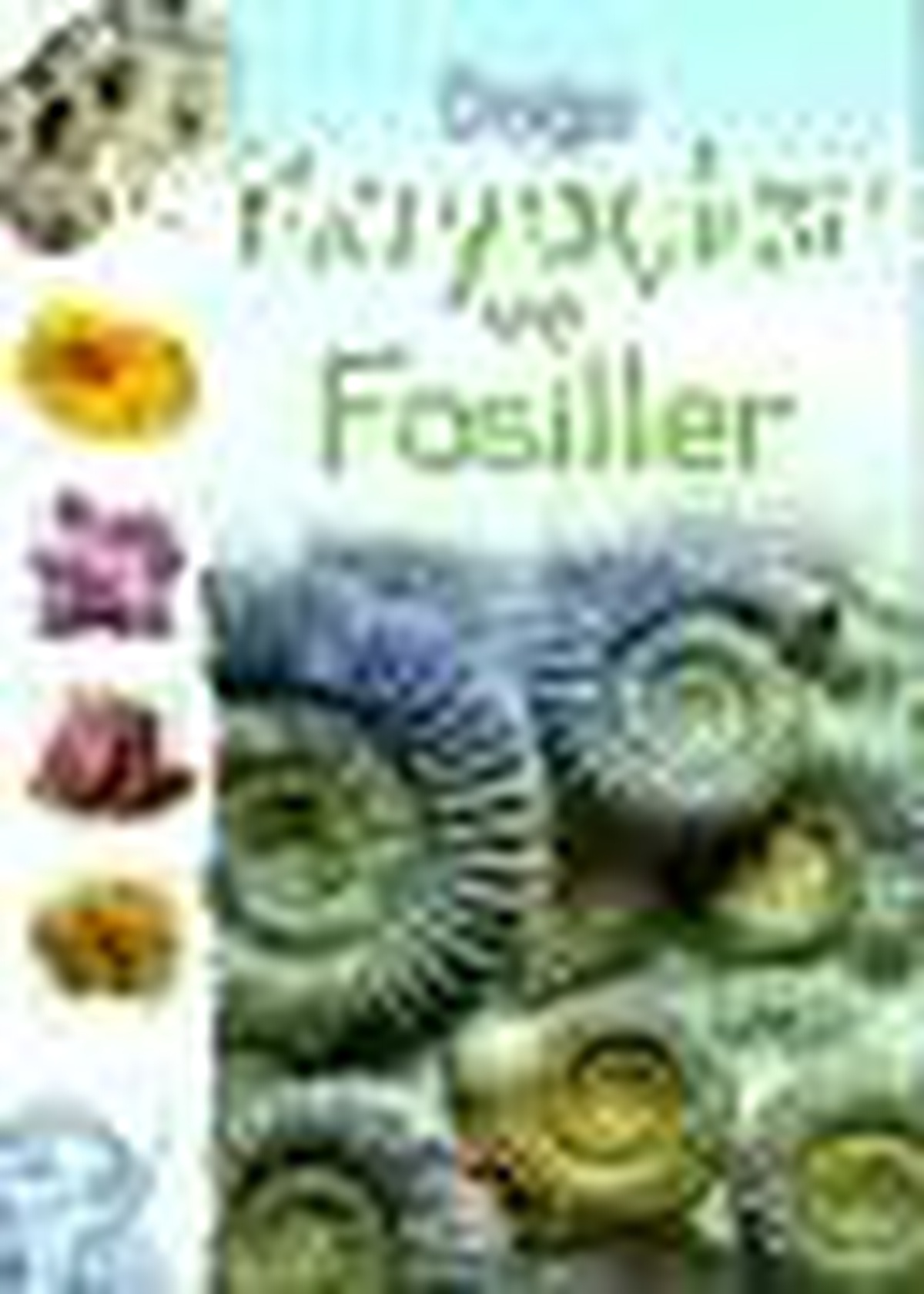 Doğa: Kayaçlar ve Fosiller Kitabı