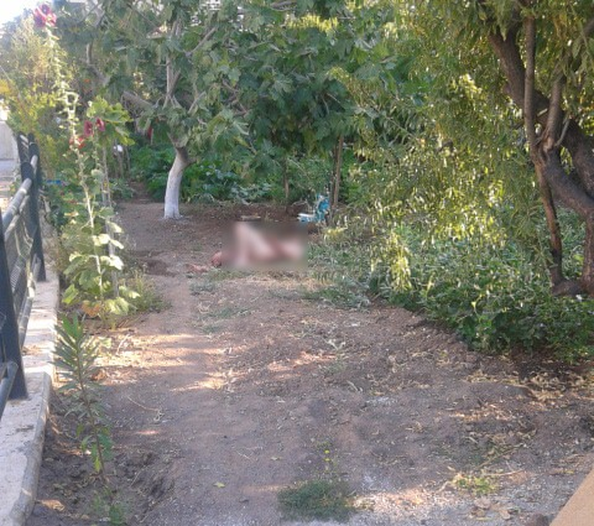 İngiliz Turist Bıçaklandı