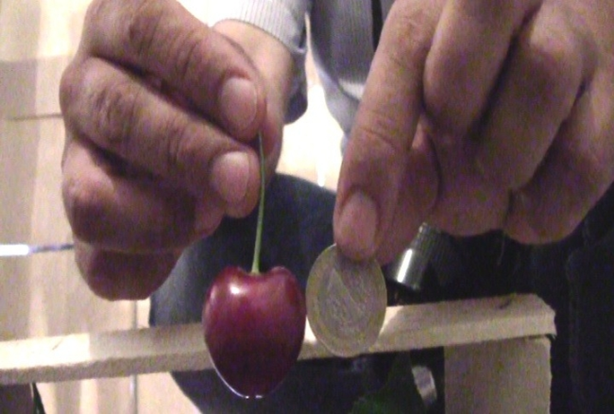 Lapseki Kirazı İhracatın Gözdesi Oldu