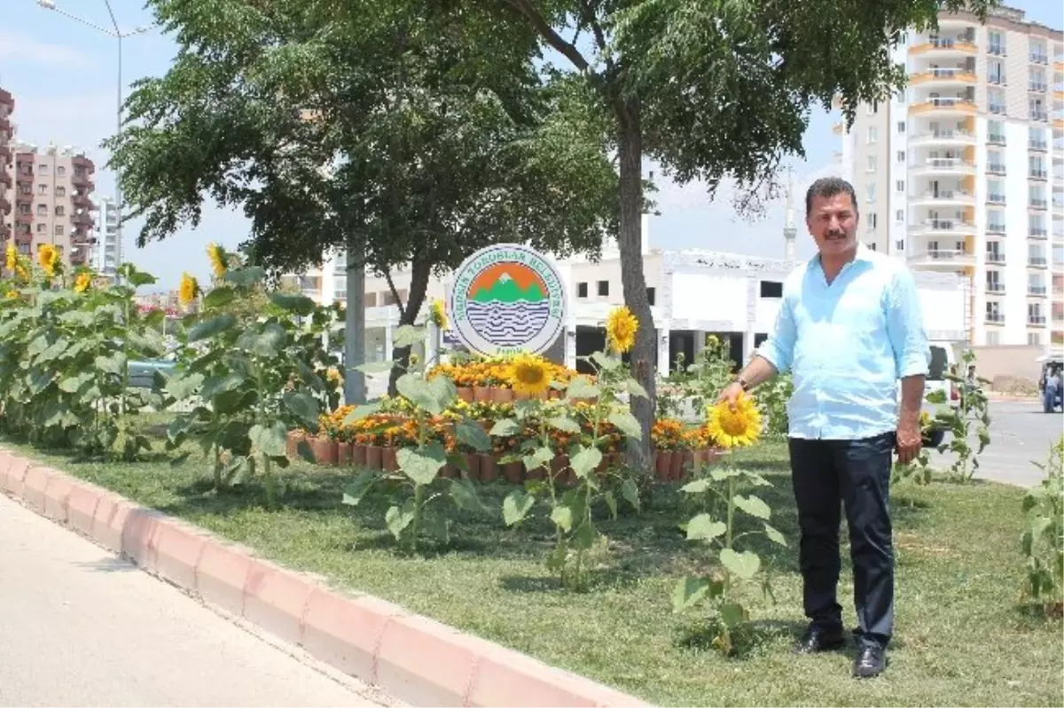 Toroslar Günebakan Açtı