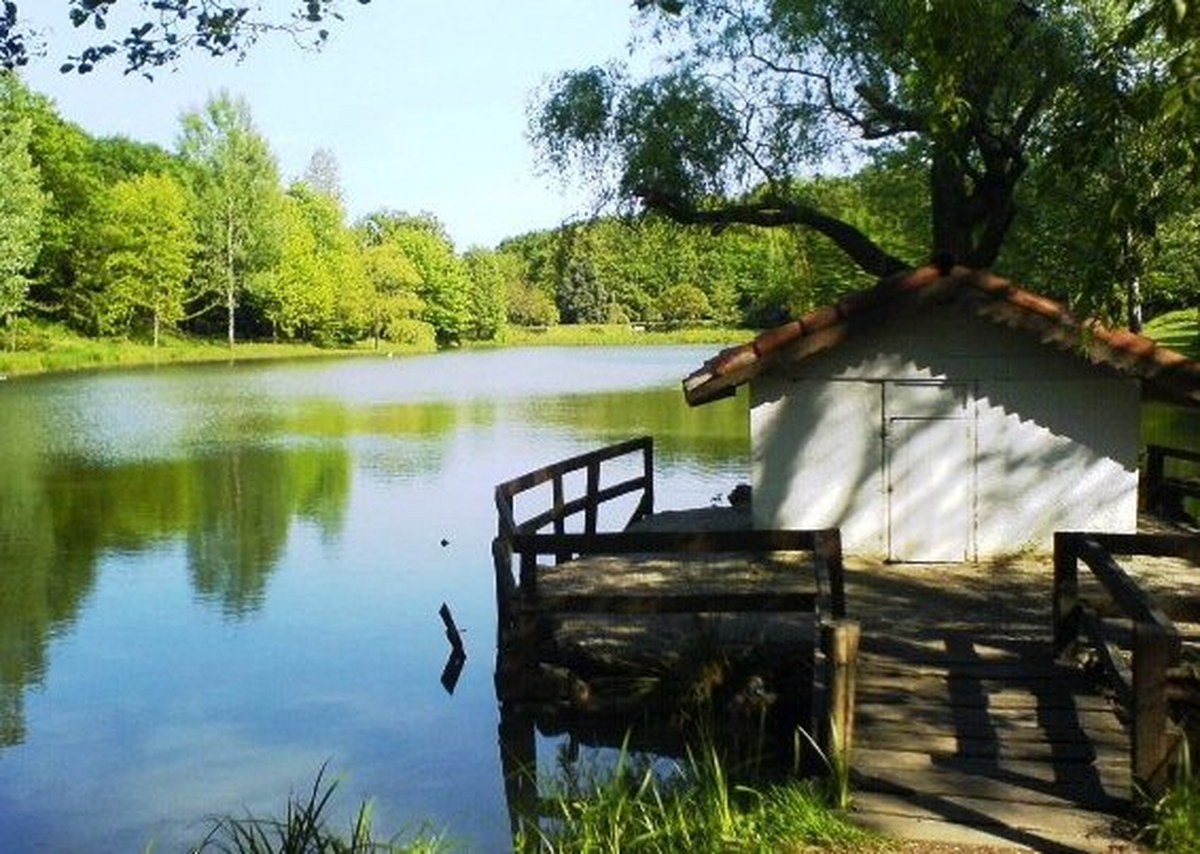 Atatürk Arboretum\'u Önce Satıldı Sonra İnşaat Yapılmasının Önü Açıldı