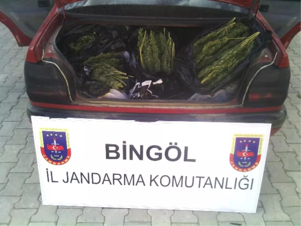 Bingöl\'de 13 Kilo Esrar Ele Geçirildi