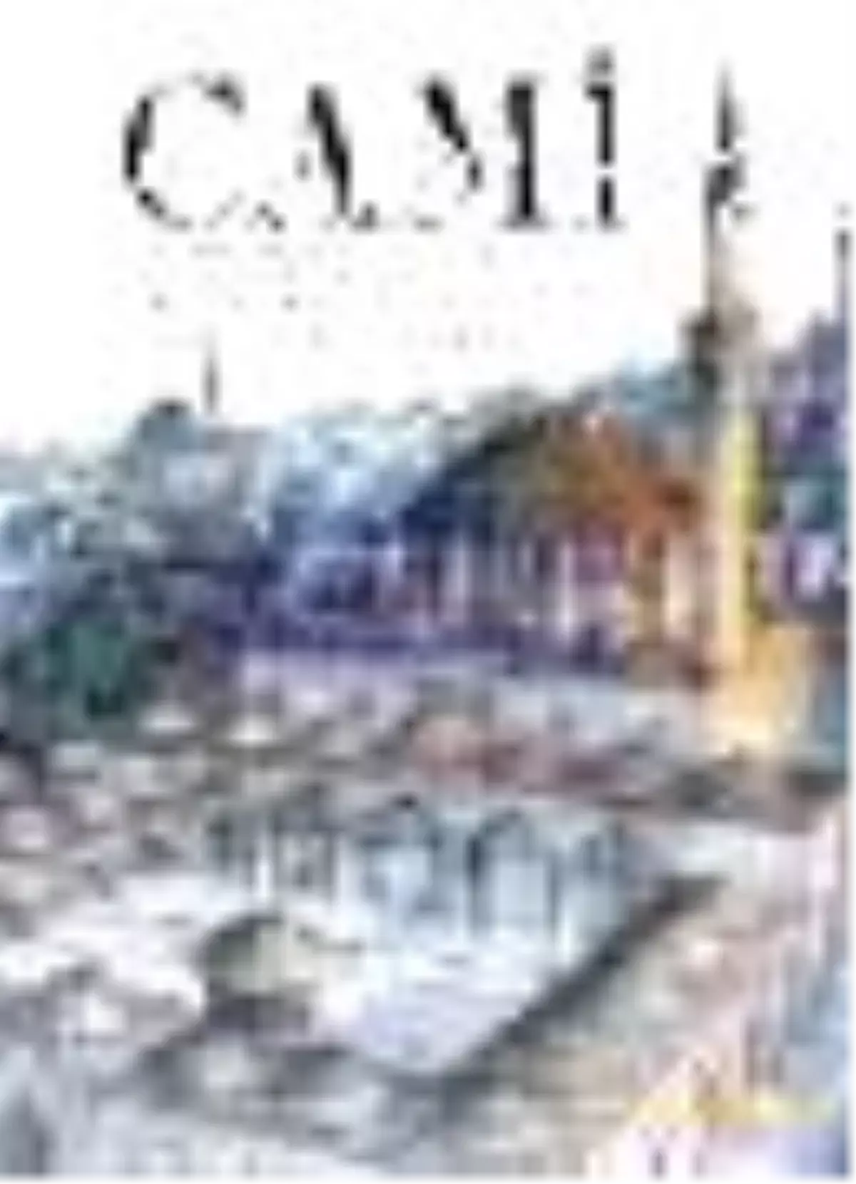 Cami (Ciltli) Kitabı