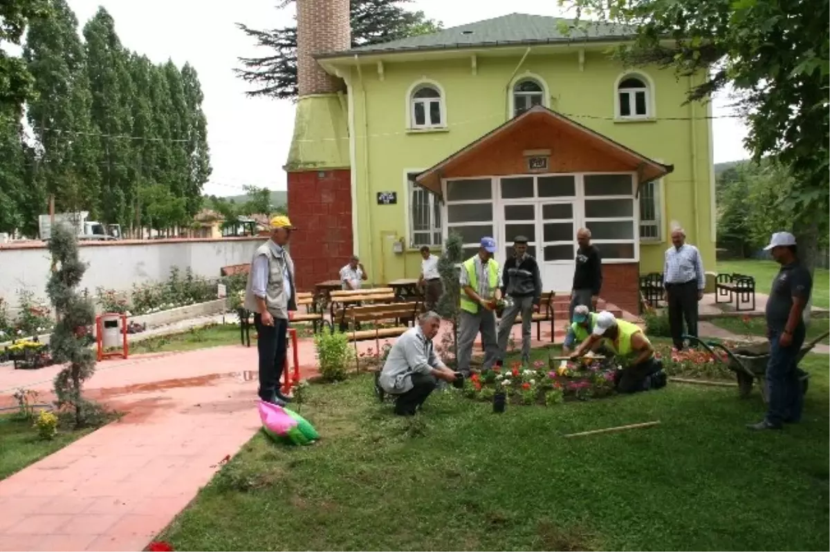 Camilere Yeşil Bakımı