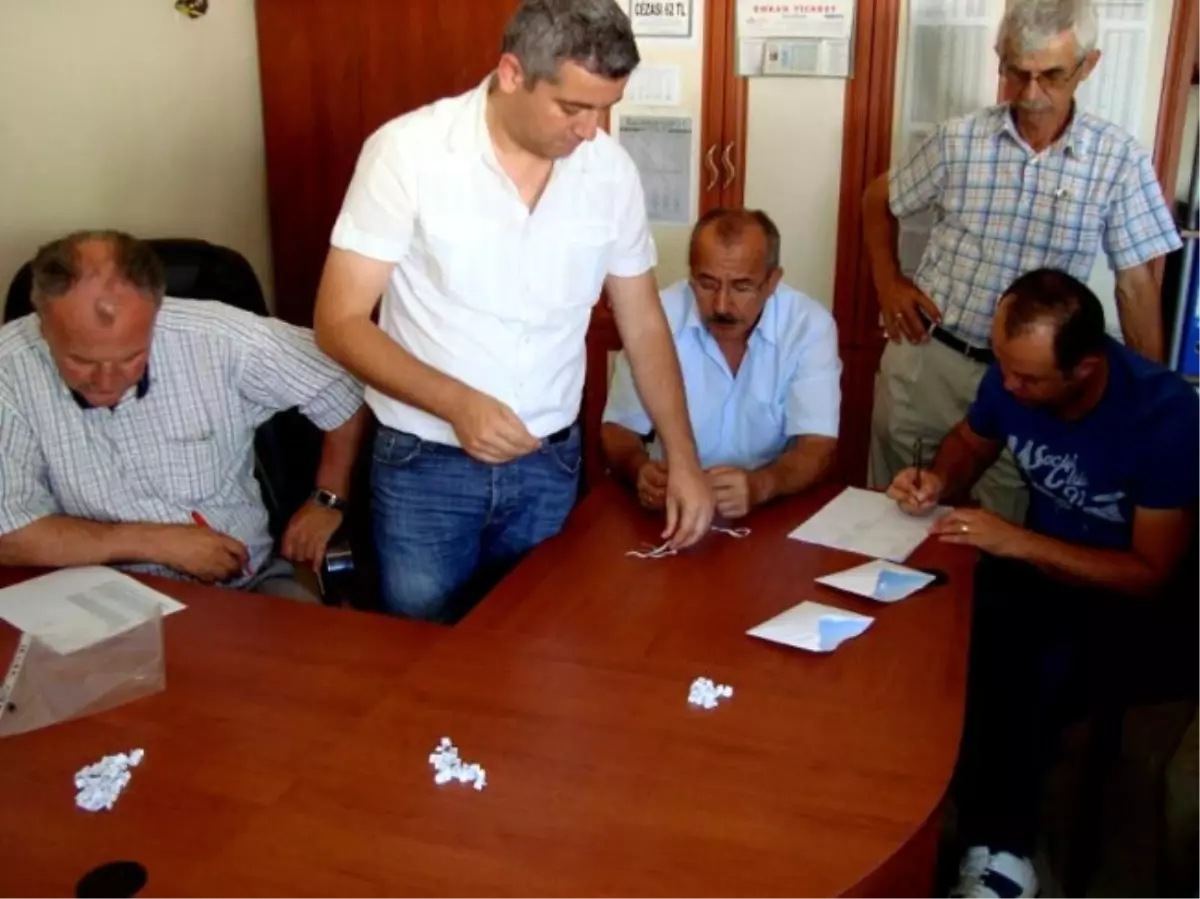 Gebe Düveler Kura ile Sahiplerine Teslim Edildi