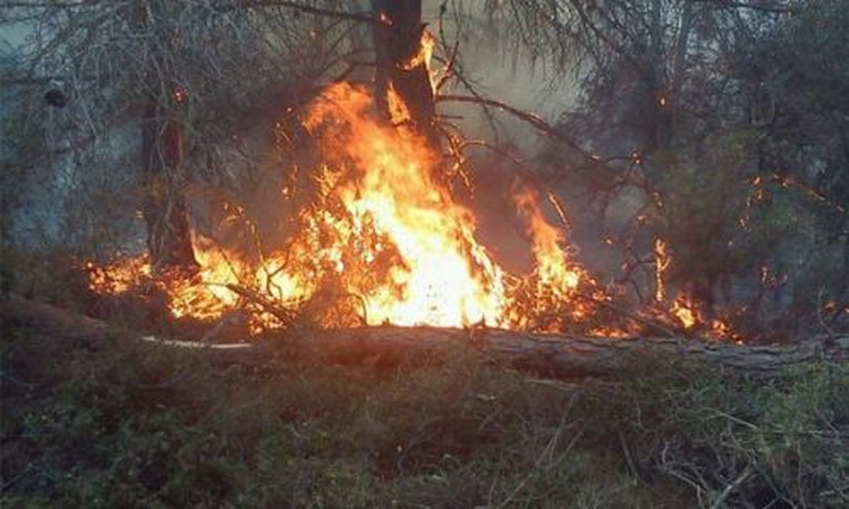 Kırıkkale\'de Boş Arazide Çıkan Yangın Hububat Ekili Araziye Sıçradı
