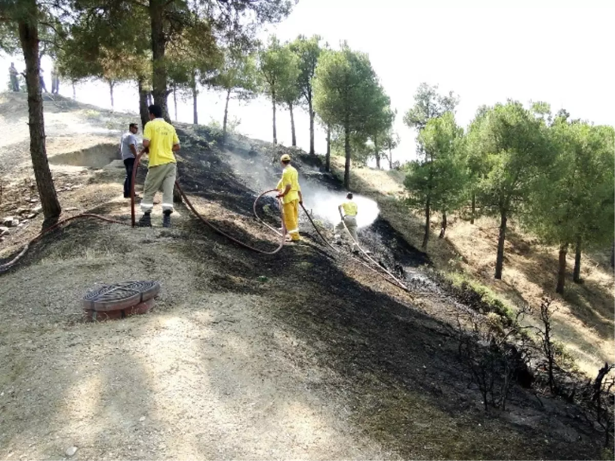 Ot Yangını Ormana Sıçramadan Söndürüldü