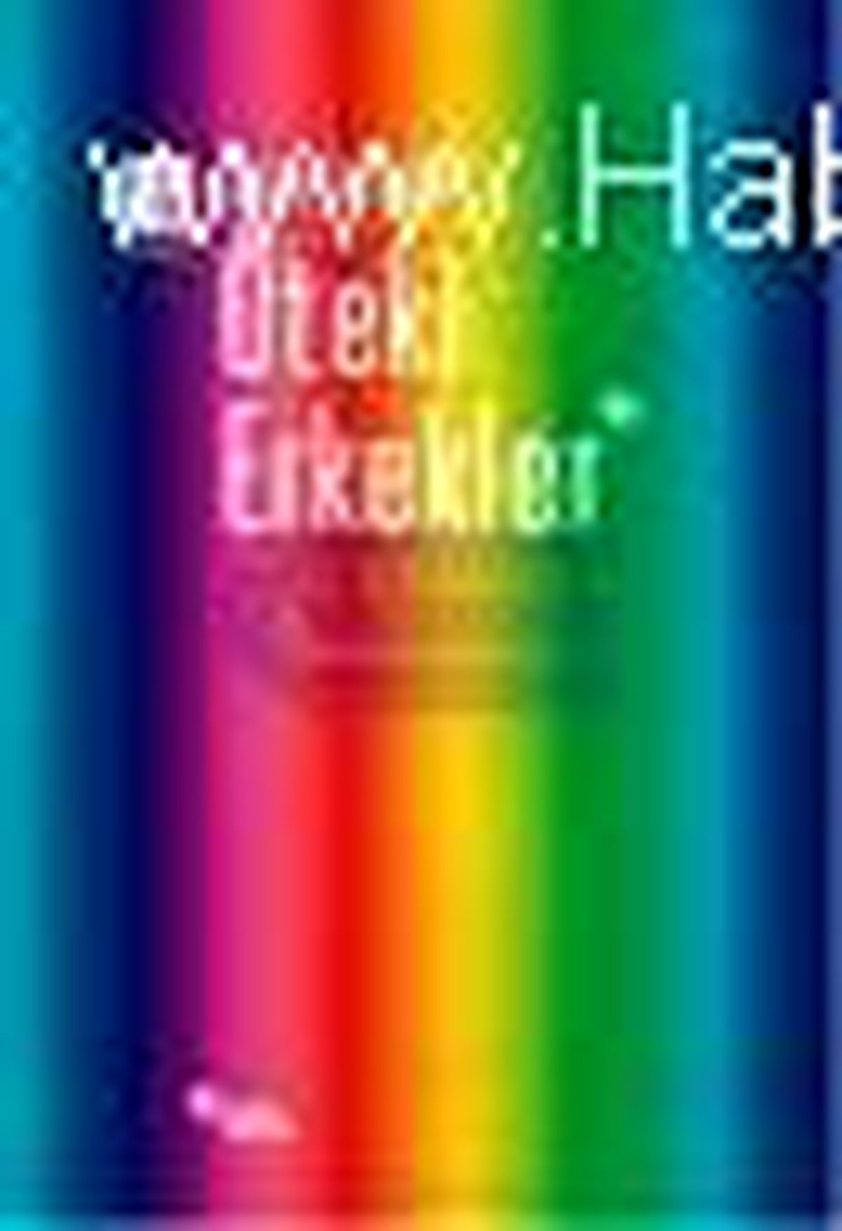 Öteki Erkekler Kitabı