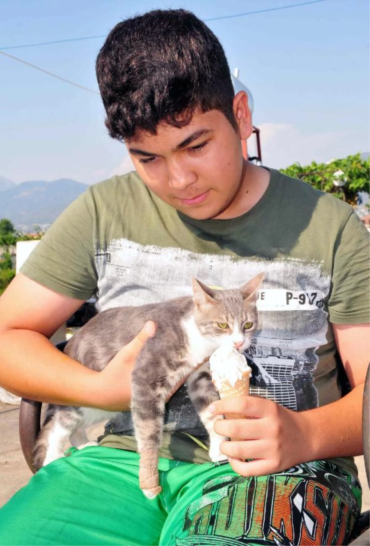 Sıcaktan Bunalan Kediye Dondurma
