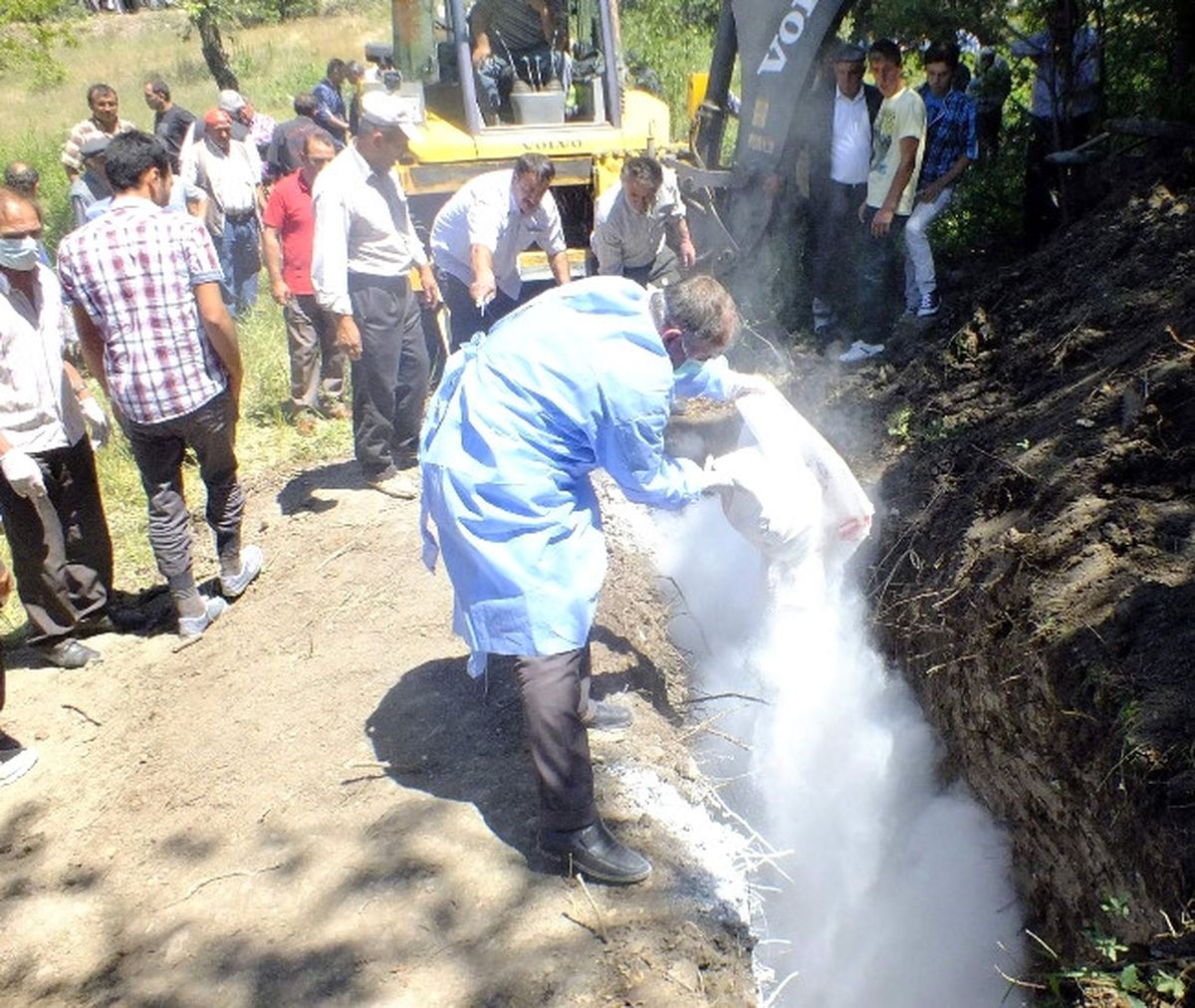 Sivas\'ta Kene Isırması Sonucu Bir Kişi Öldü