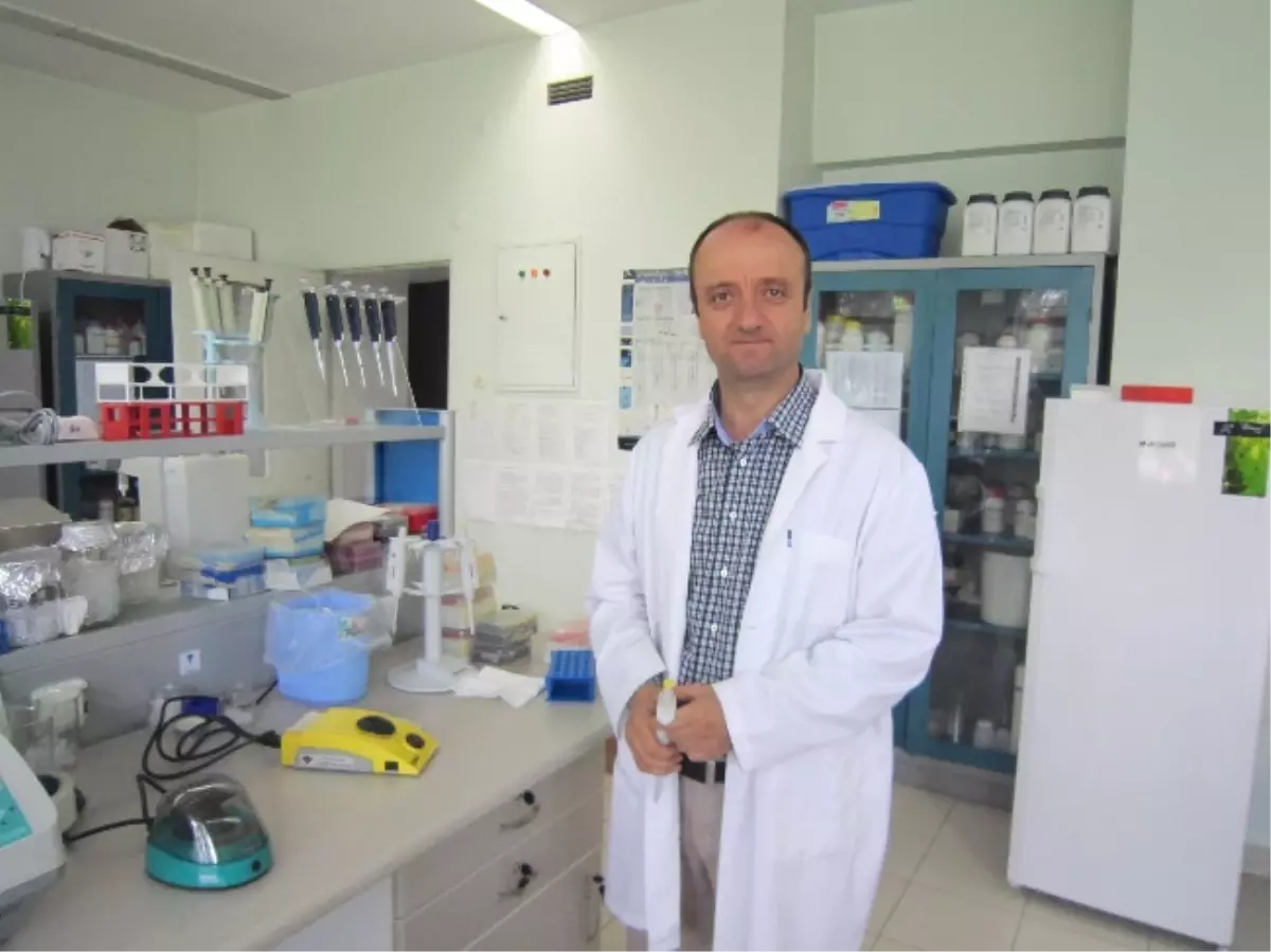 Tarla Bitkileri Öğretim Üyesi Prof. Dr. Kamil Haliloğlu Açıklaması