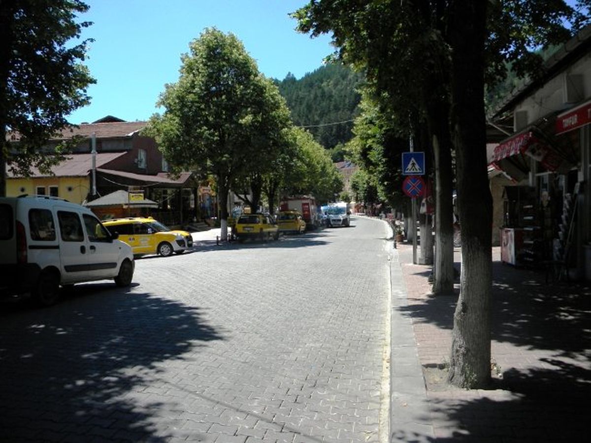 Azdavayda Ihlamur Hasadı Başladı