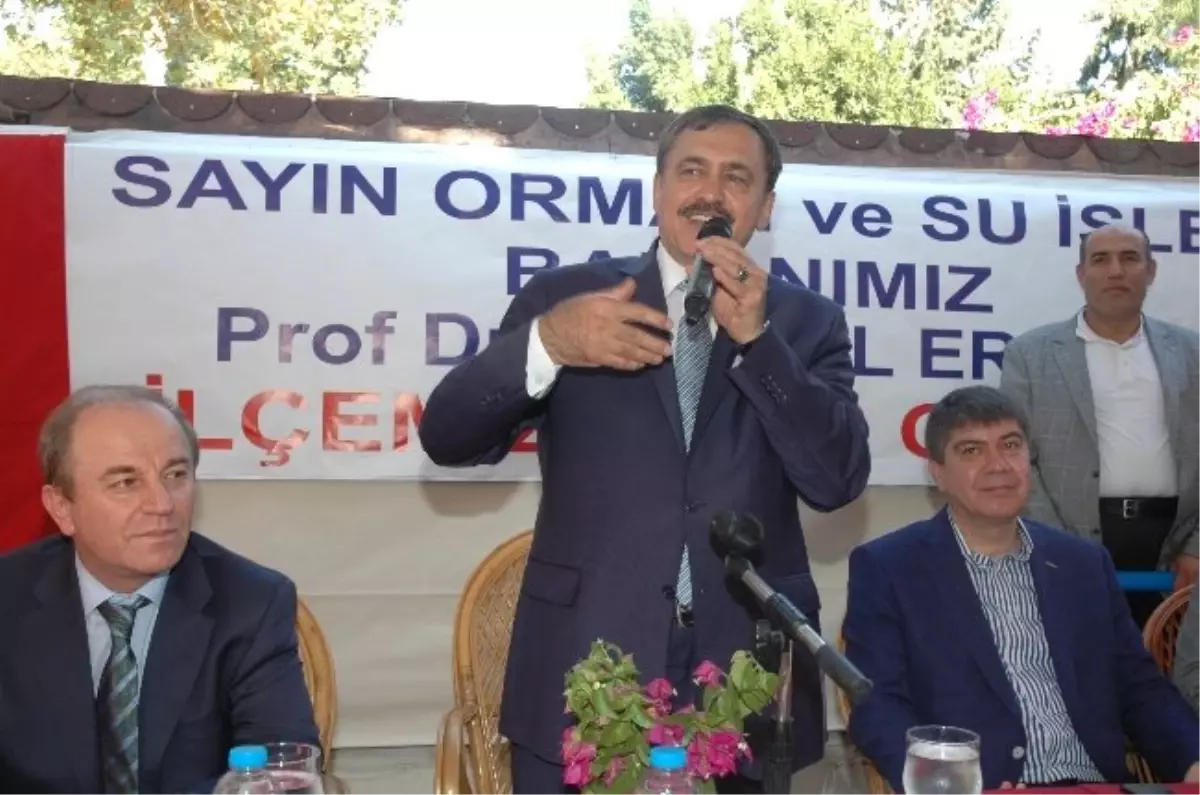 Bakan Eroğlu, Havadan Orman Sahalarını İnceledi