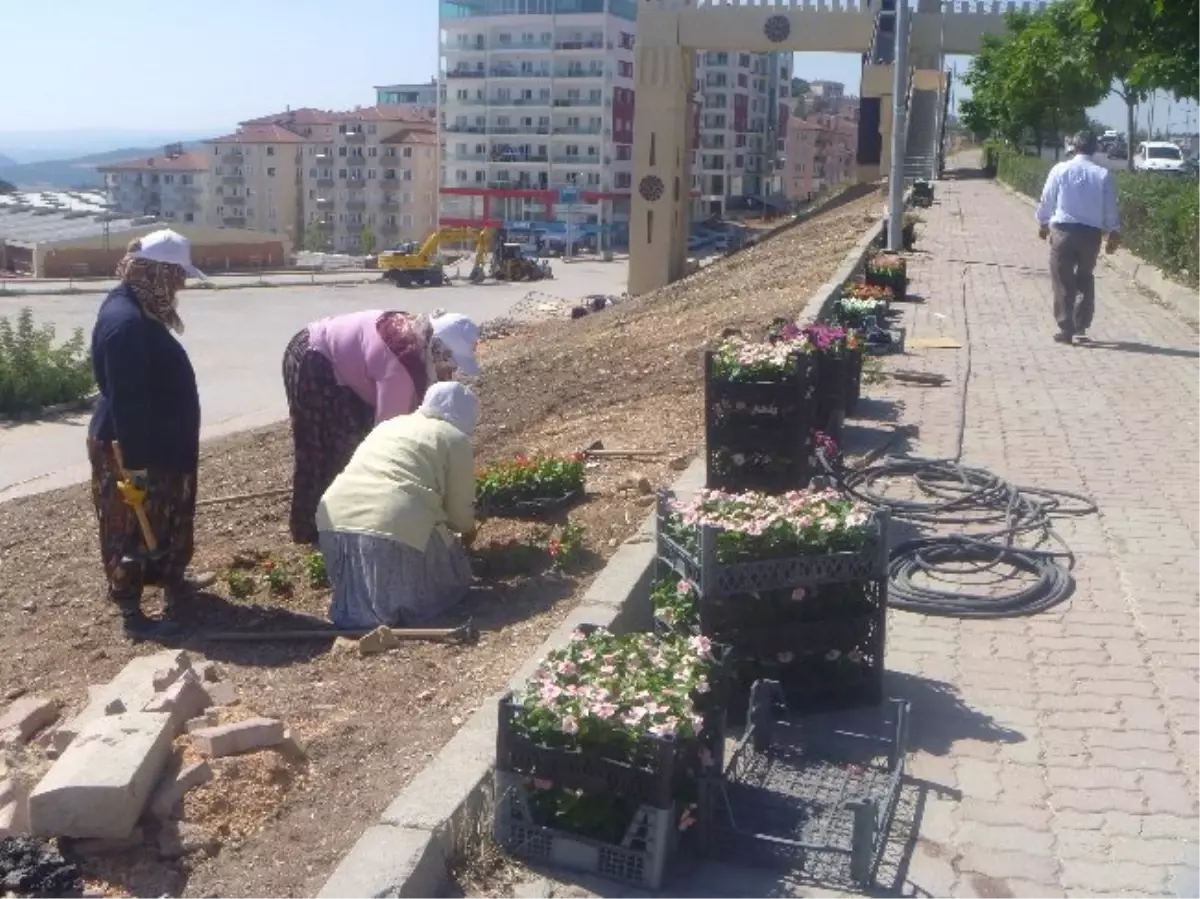 Bilecik Belediyesi\'nin Çiçeklendirme Çalışmaları