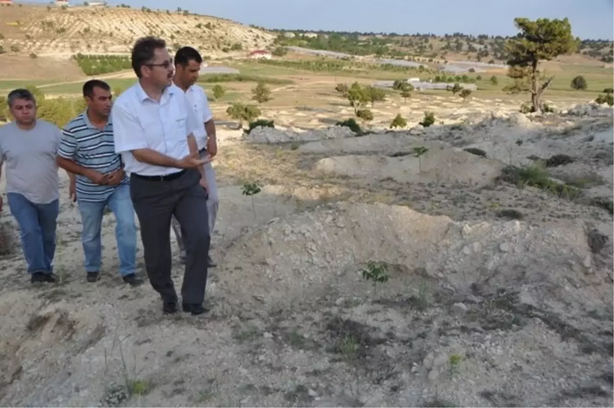 Ceviz ve Badem Eylem Planı Mersin' de Hayata Geçti