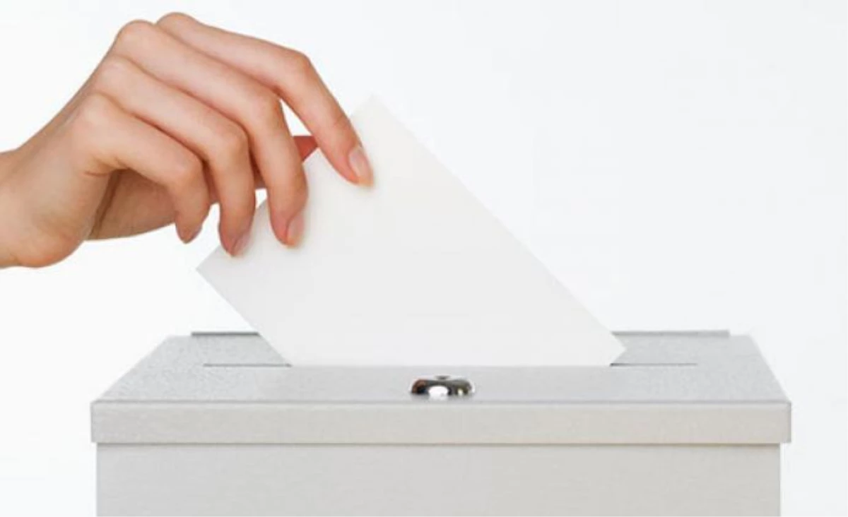 Fransa\'da UMP Delegeleri, Oy Kullanıyor