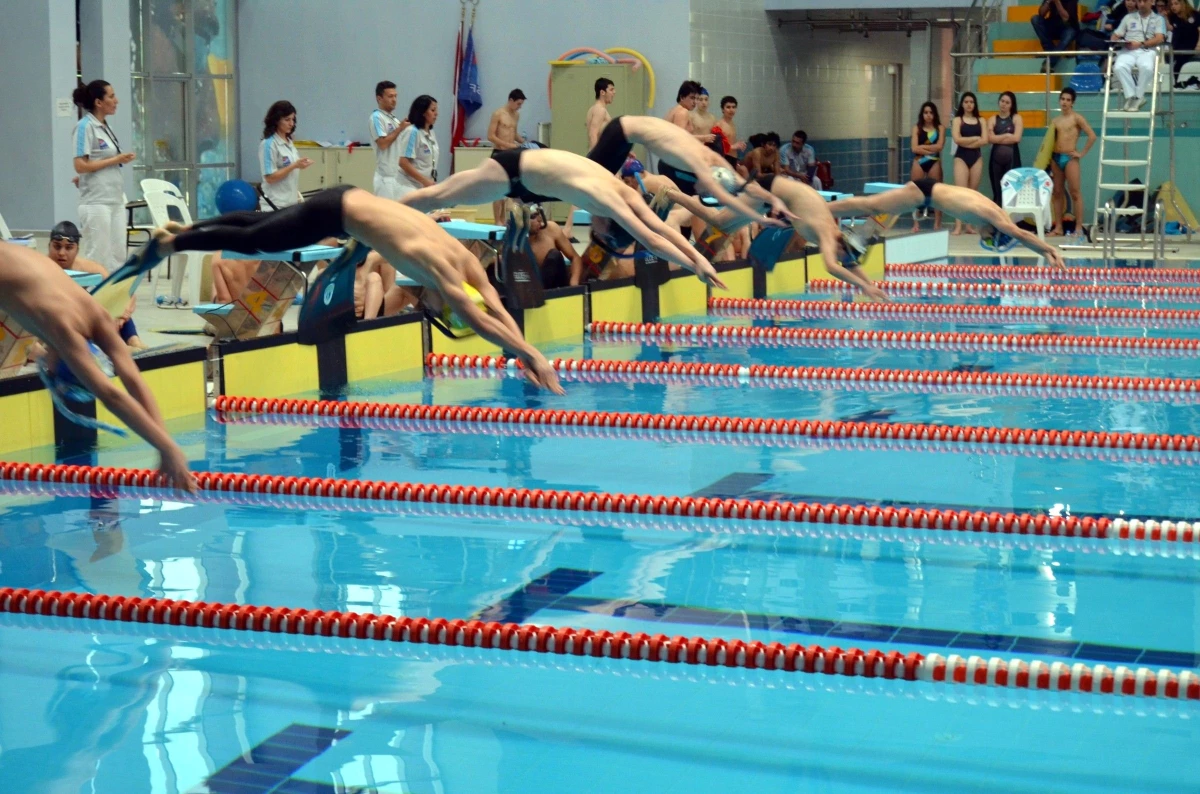 Paletli Yüzme Kulüplerarası Büyükler Türkiye Şampiyonası