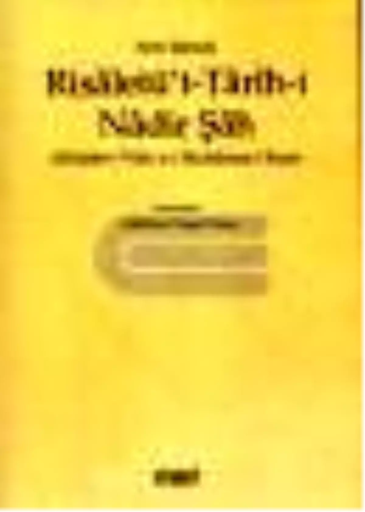 Risaletü't - Tarih-i Nadir Şah Kitabı