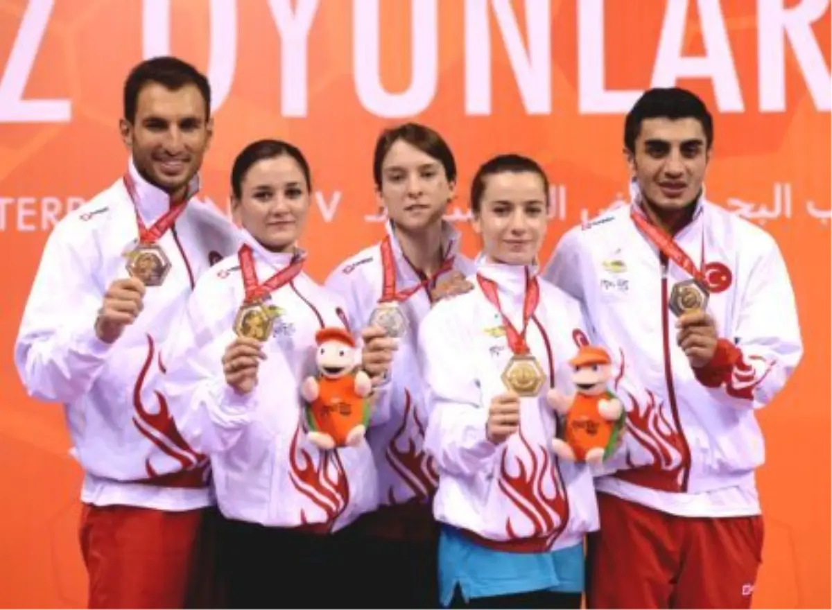 17. Akdeniz Oyunları