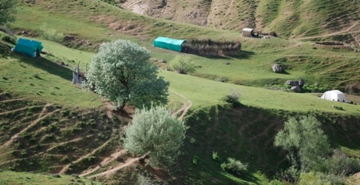 Yaylada Yaşam