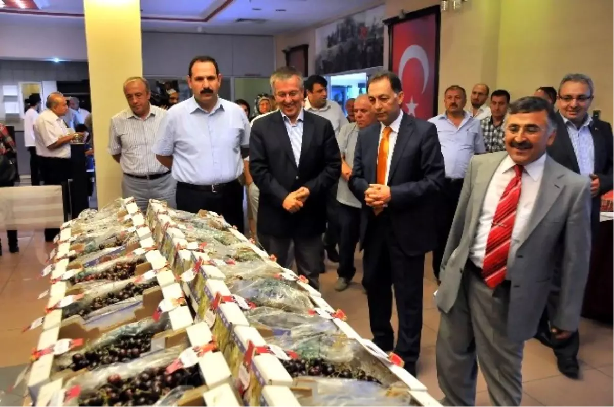 Akşehir Kirazı Kültür ve Sanat Festivali Başladı