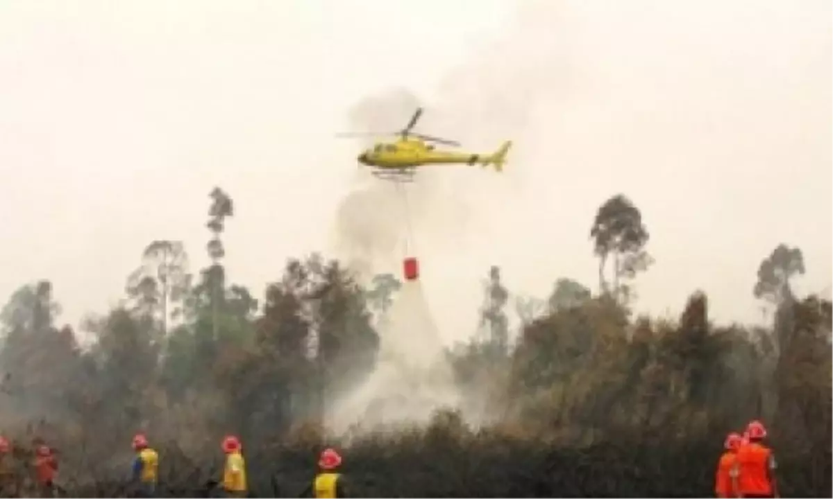 Arizona\'da Orman Yangını